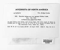 Image Associated With the Occurence